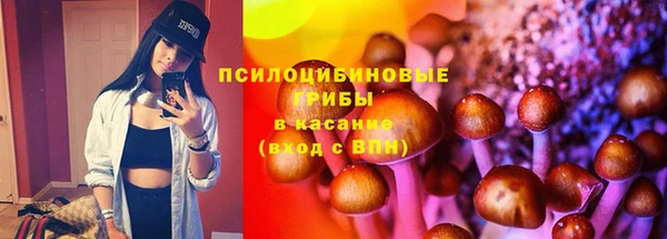 метадон Горнозаводск