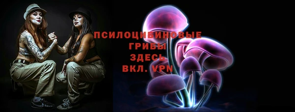метадон Горнозаводск