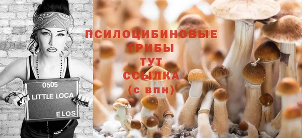 мет Горно-Алтайск