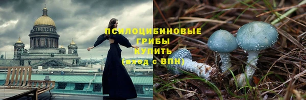 мет Горно-Алтайск