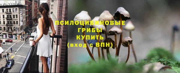 мет Горно-Алтайск