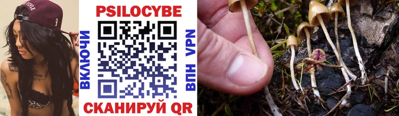 Галлюциногенные грибы Cubensis  Купить где  Светлый 